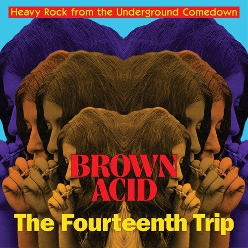 Various Artists - Brown Acid: The Fourteenth Trip - Vinyl