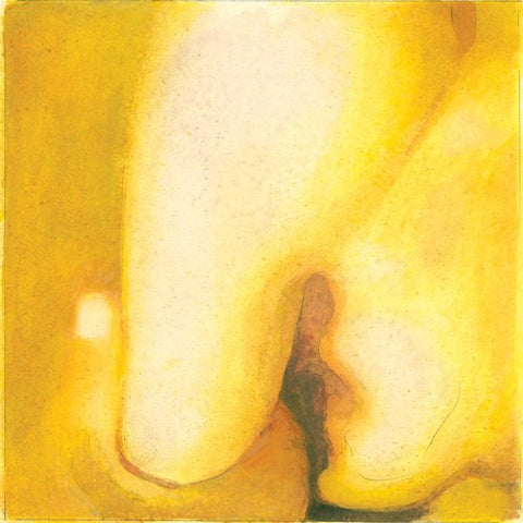 The Smashing Pumpkins - Pisces Iscariot - Vinyl
