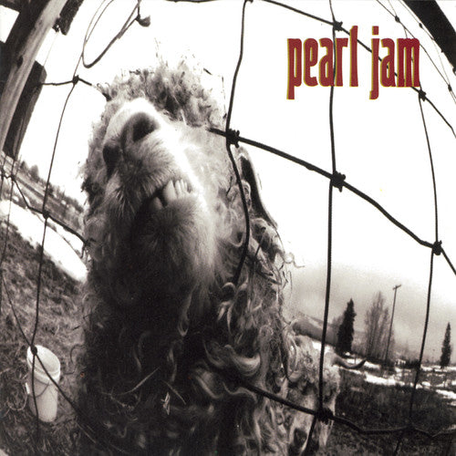 Pearl Jam - Vs. - CD