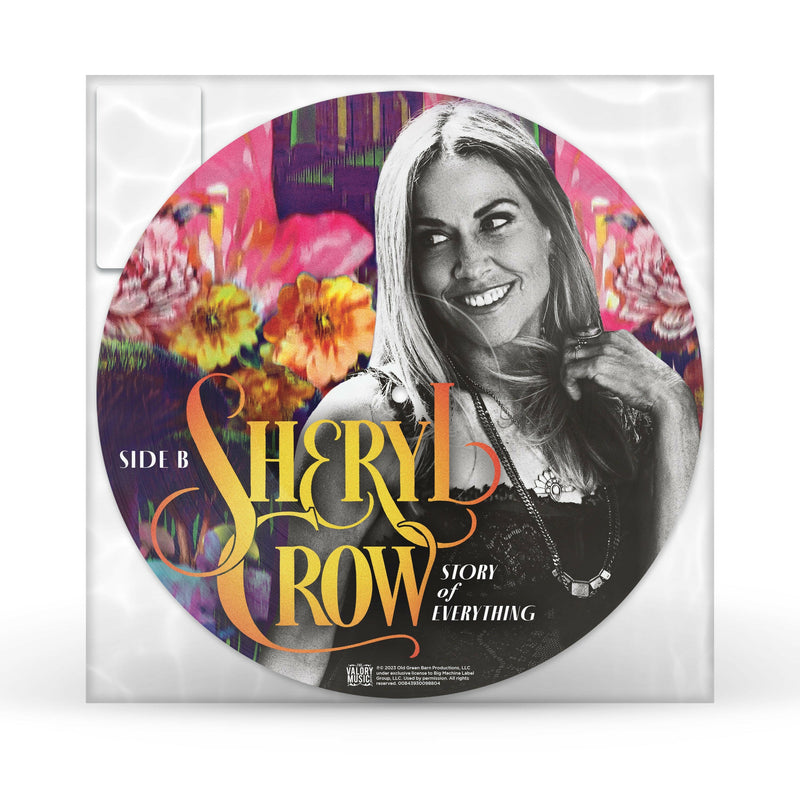 Sheryl Crow - Story Of Everything (Picture Disc) - Vinyl
