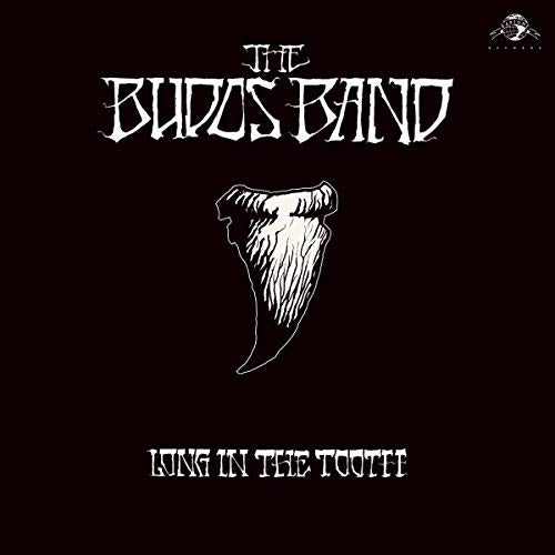 The Budos Band - Long In The Tooth - Vinyl