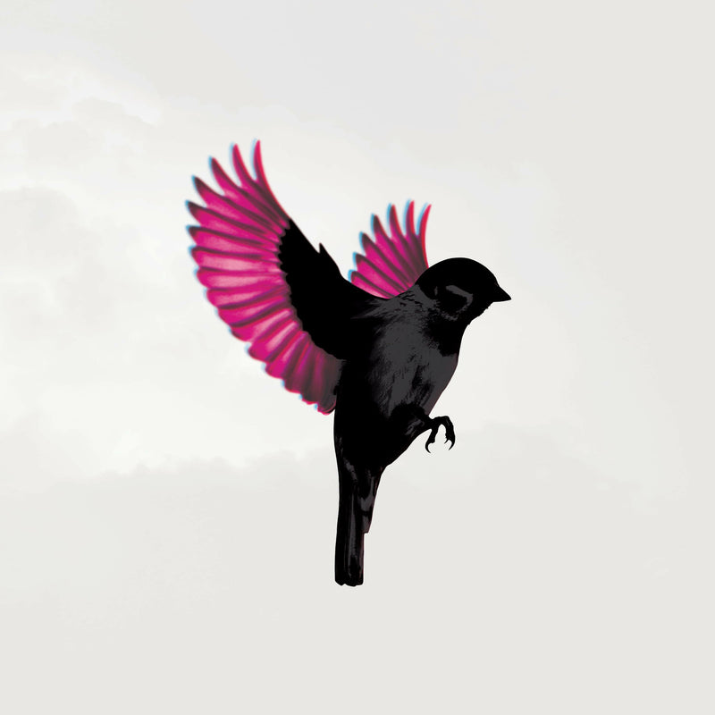 Jump Little Children - Sparrow - CD