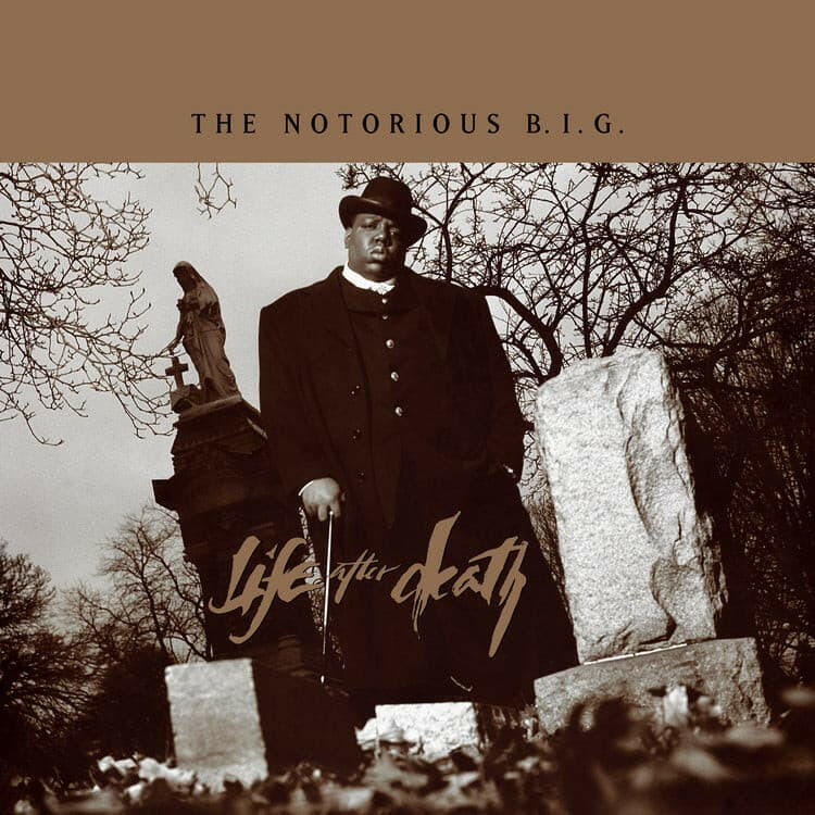 The Notorious B.I.G. - Life After Death (25th Anniversary Super Deluxe Edition) (8 Lp's) - Vinyl