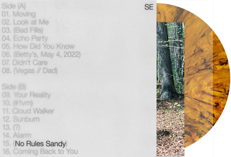 Sylvan Esso - No Rules Sandy - Vinyl